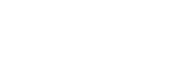Training School Buddy Dog
